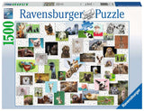 16711 Collage di Animali Divertenti - Puzzle 1.500 pezzi