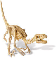 Scava un fossile di Velociraptor