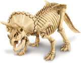 Scava un fossile di Triceratopo
