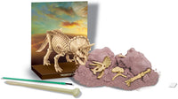 Scava un fossile di Triceratopo